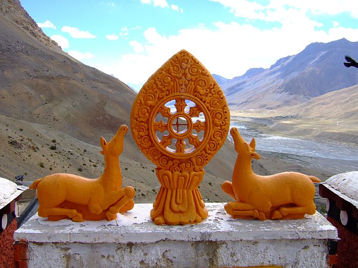     (Key Gompa),  (30 )