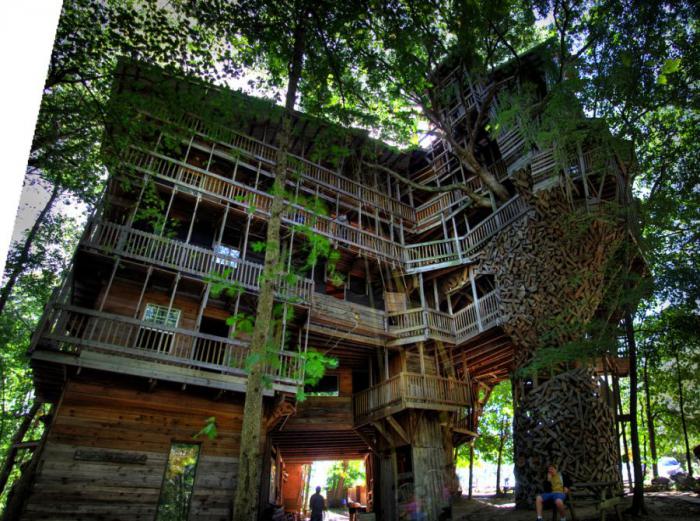 Самый большой домик на дереве (7 фото) Самый большой домик на дереве (7 фото)