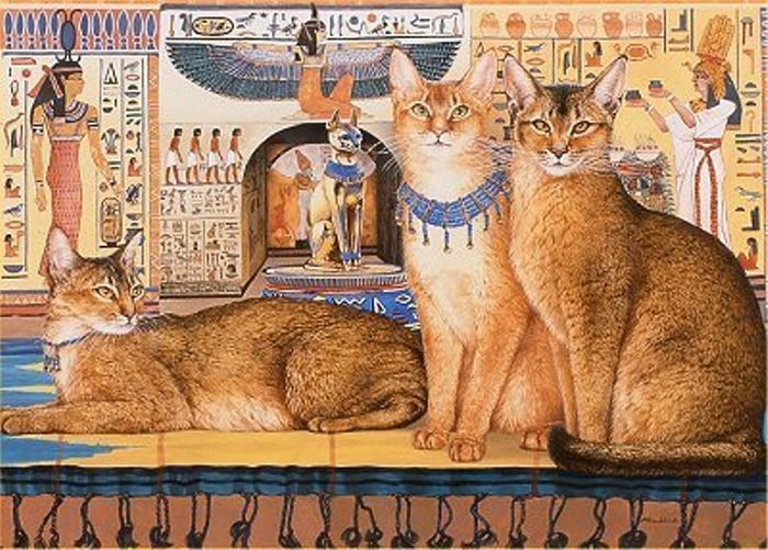 Интересные факты о кошках (20 фото) Интересные факты о кошках (20 фото)