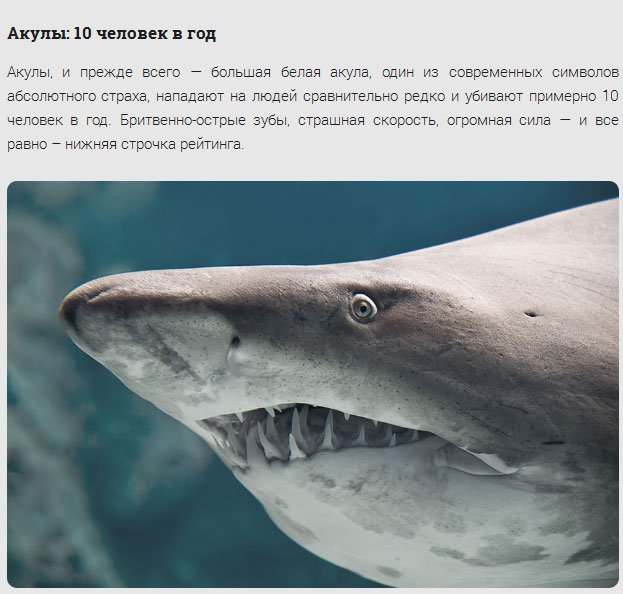 Животные-убийцы людей (17 фото) Животные-убийцы людей (17 фото)