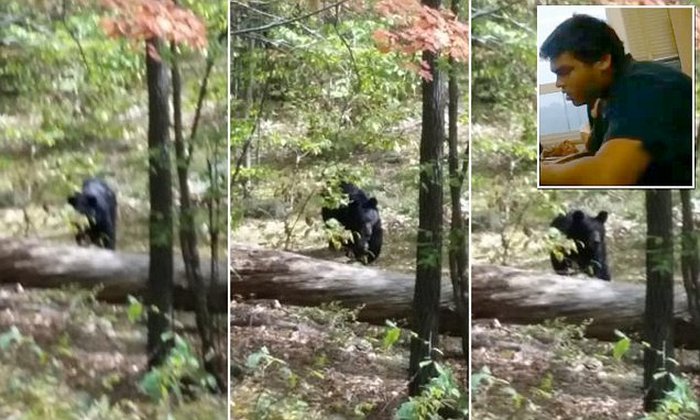 Студент сфотографировал медведя, который его убил (5 фото) Студент сфотографировал медведя, который его убил (5 фото)
