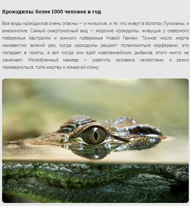 -  (16 ) 