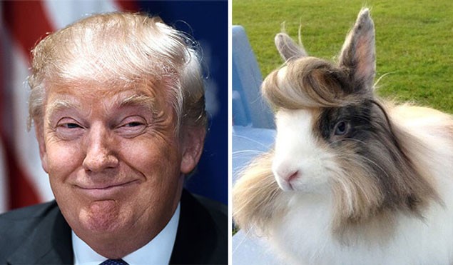Дональд Трамп отметил юбилей в 70 лет! (11 фото) Дональд Трамп отметил юбилей в 70 лет! (11 фото)
