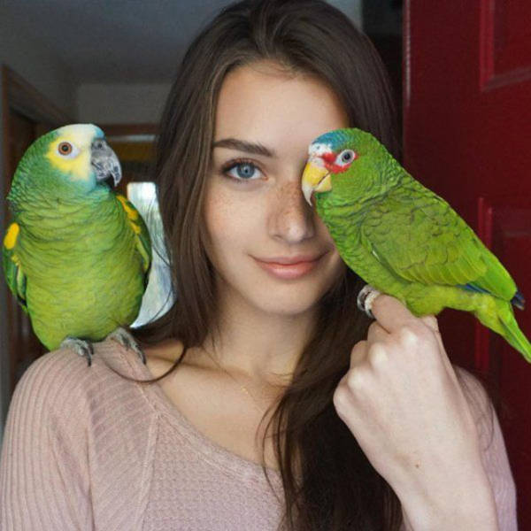     (48 )
