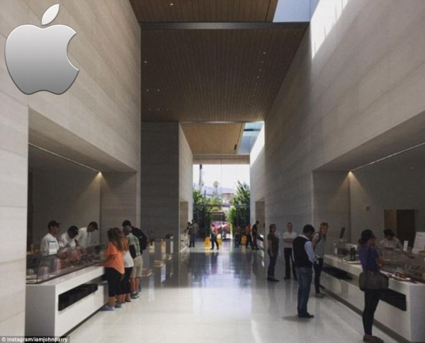      Google, Apple  Pixar (20 )