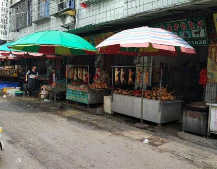 Фестиваль собачьего мяса в Китае (10 фото) Фестиваль собачьего мяса в Китае (10 фото)