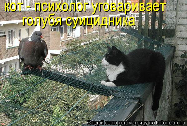 Смешные и забавные домашние питомцы (50 фото) Смешные и забавные домашние питомцы (50 фото)