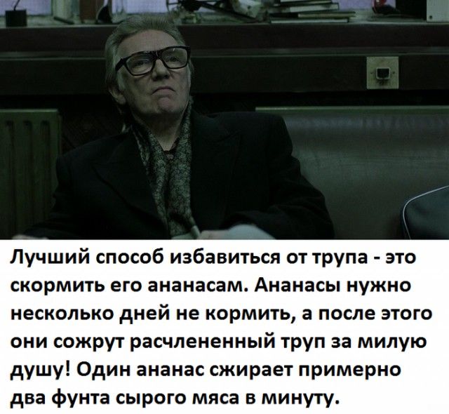 Интересные факты обо всем на свете (12 фото) Интересные факты обо всем на свете (12 фото)