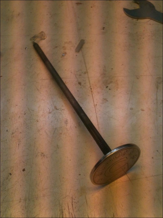        (11 )