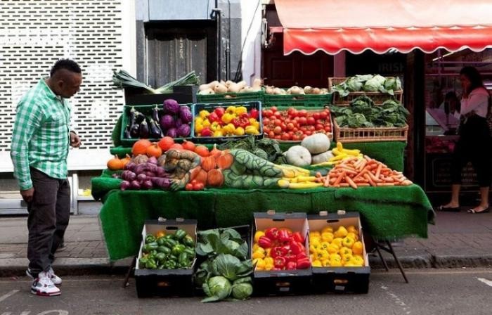 Мастер маскировки (5 фото) Мастер маскировки (5 фото)