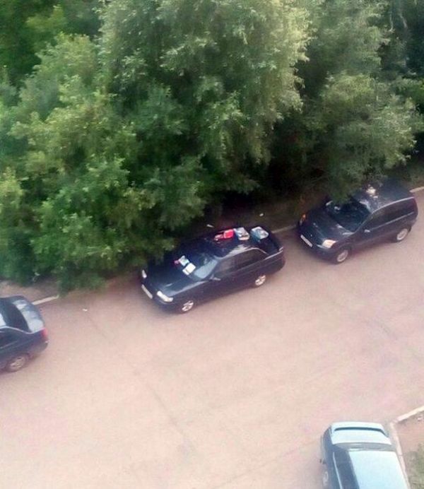 Нравоучение автомобилисту от заботливых соседей (4 фото) Нравоучение автомобилисту от заботливых соседей (4 фото)