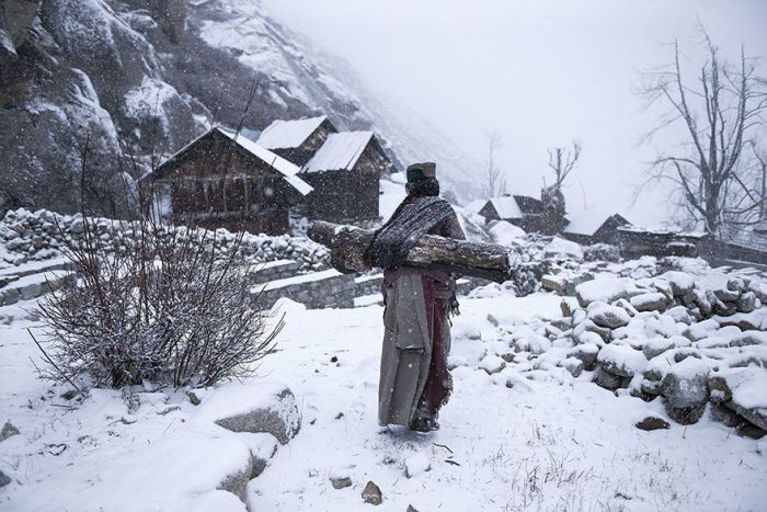 National Geographic     (12 )