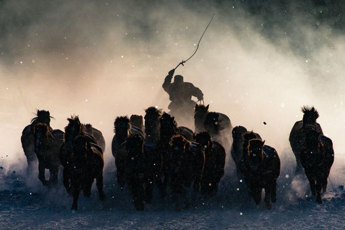 National Geographic     (12 )
