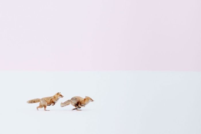 National Geographic     (12 )