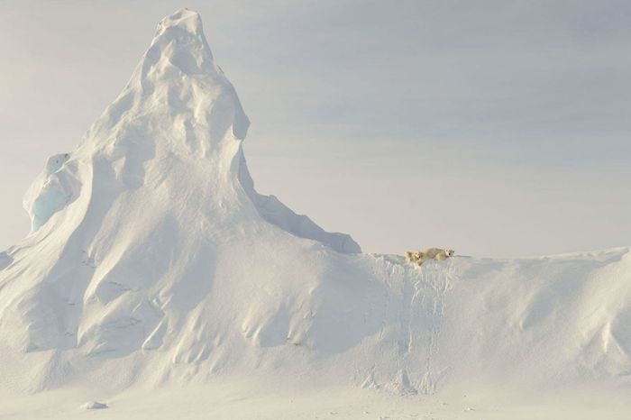 National Geographic     (12 )