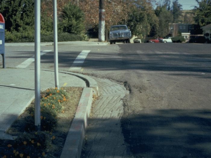          (4 )