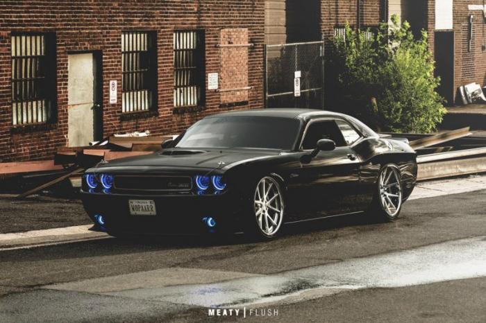 Dodge Challenger     stance   (10 )