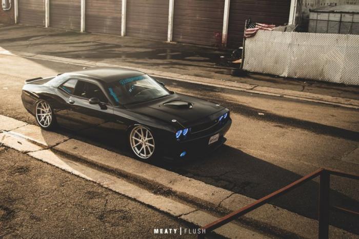 Dodge Challenger     stance   (10 )