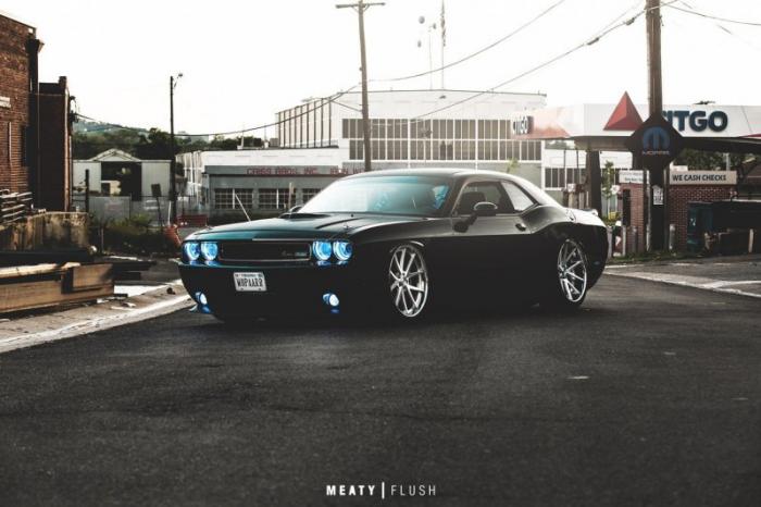 Dodge Challenger     stance   (10 )