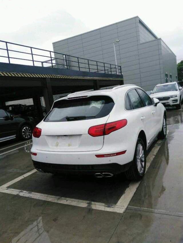    - Zotye Auto (12 )