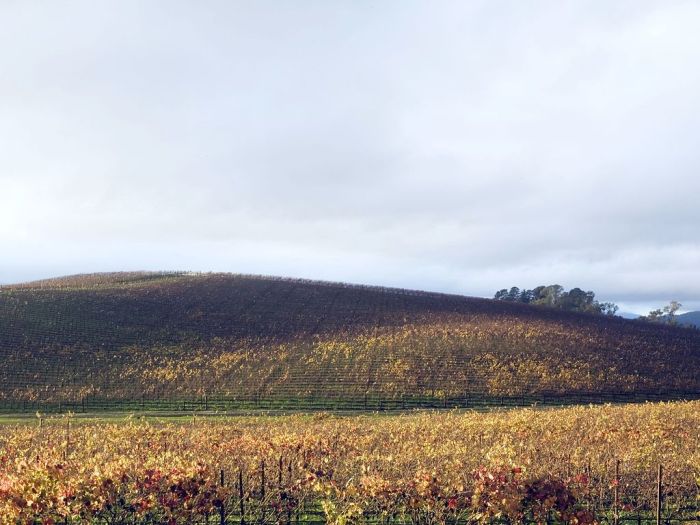      Windows XP (5 )