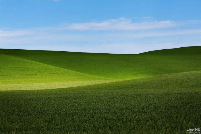 Китайский фотограф случайно переснял обои Windows XP (5 фото) Китайский фотограф случайно переснял обои Windows XP (5 фото)