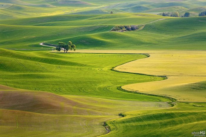      Windows XP (5 )