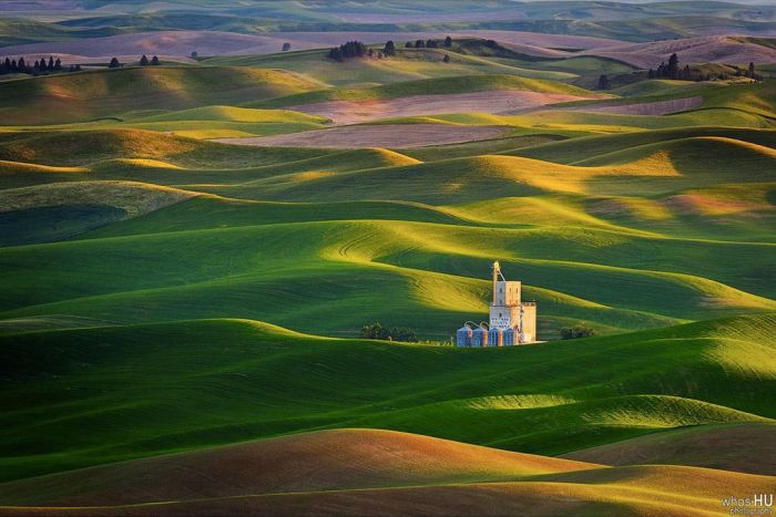      Windows XP (5 )