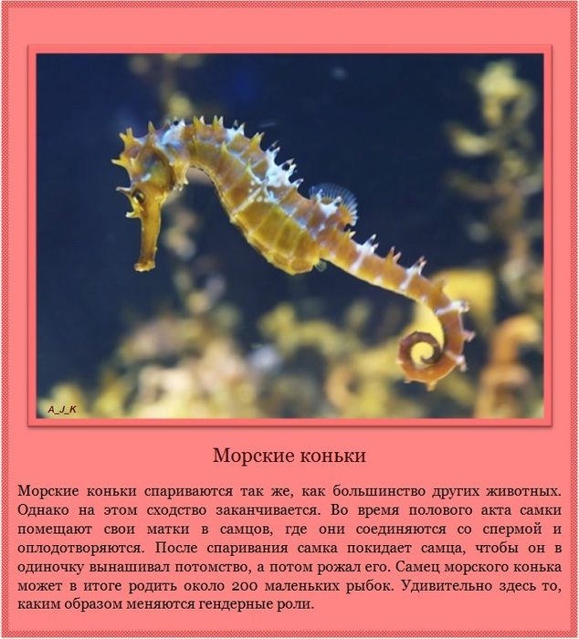      (11 )