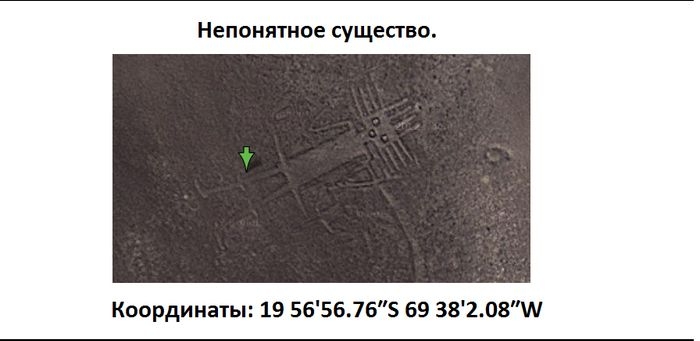   ,     Google Maps (17 )