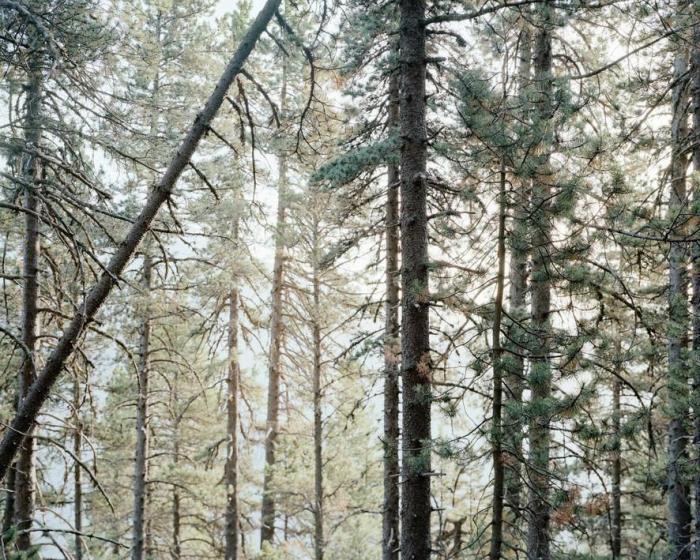 Свято место (11 фото) Свято место (11 фото)