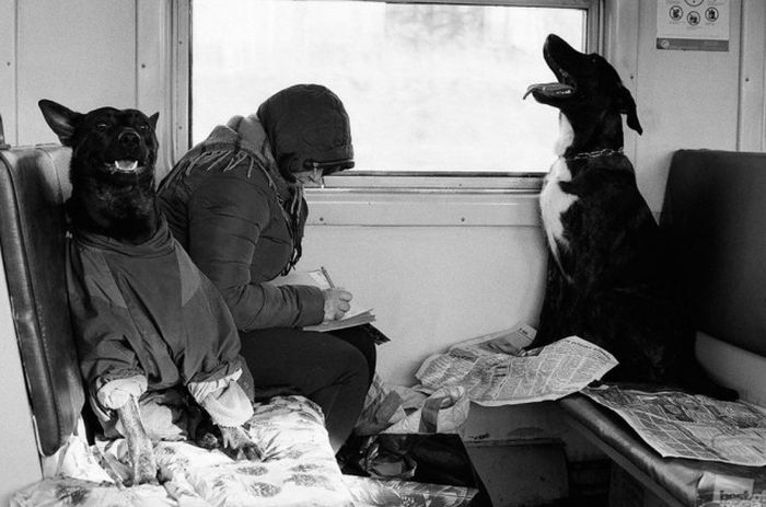    Best of Russia (41 )