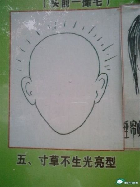    (10 )