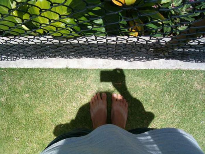 Lahaina noon -   (11 )