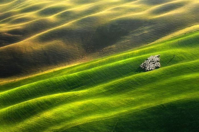 Рабочие места с разных уголков планеты (20 фото) Рабочие места с разных уголков планеты (20 фото)