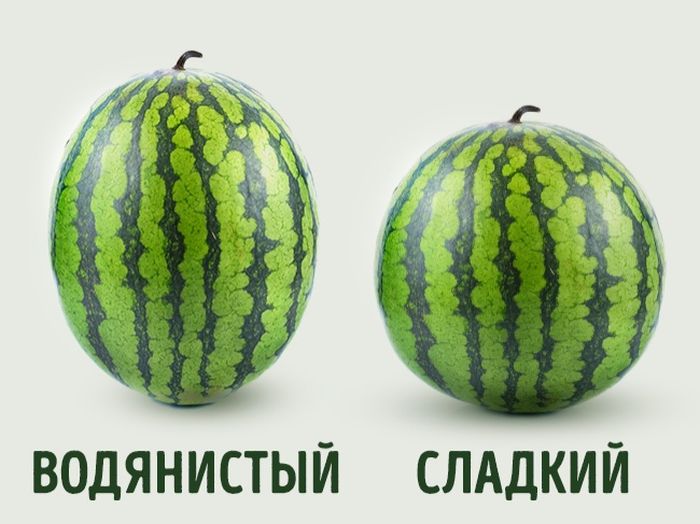 Как выбрать вкусный арбуз (5 фото) Как выбрать вкусный арбуз (5 фото)