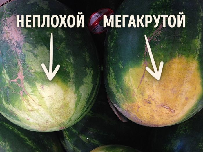 Как выбрать вкусный арбуз (5 фото) Как выбрать вкусный арбуз (5 фото)