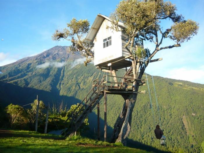    Casa Del Arbol   (15 )
