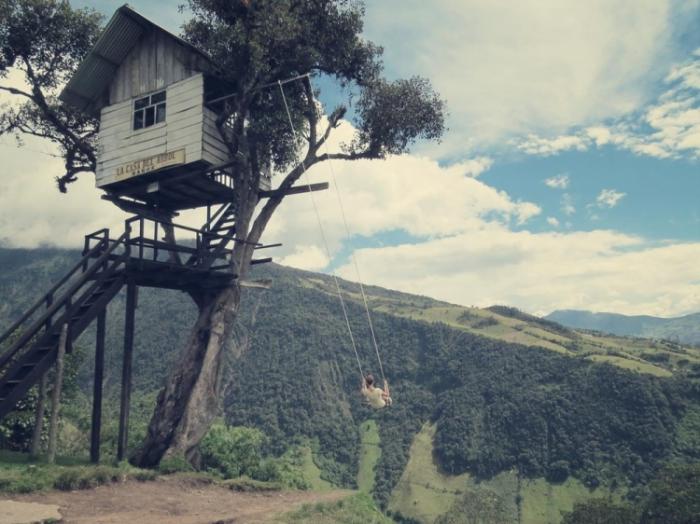    Casa Del Arbol   (15 )