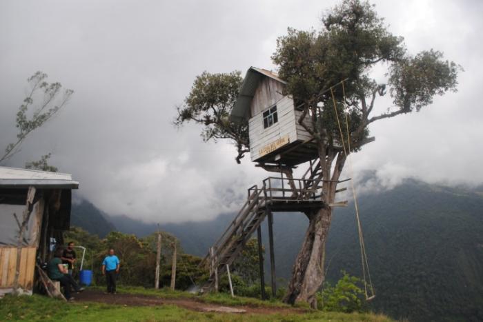    Casa Del Arbol   (15 )