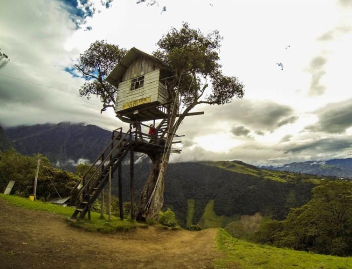    Casa Del Arbol   (15 )