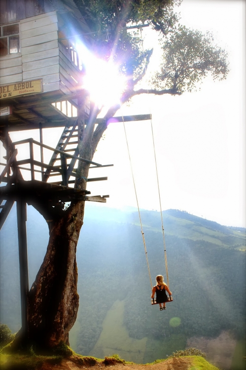    Casa Del Arbol   (15 )
