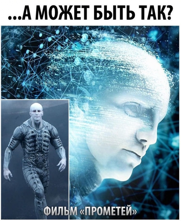       (5 )