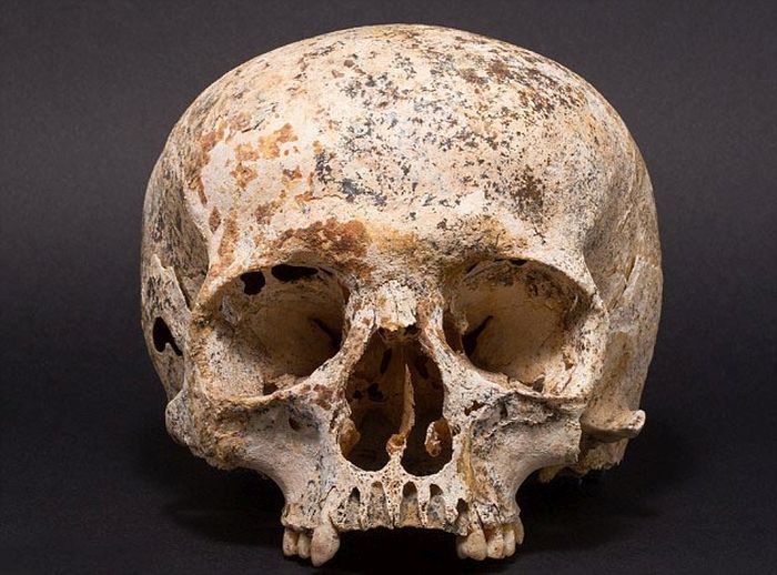 Ученные создали модель головы девушки, умершей 3700 лет назад (3 фото) Ученные создали модель головы девушки, умершей 3700 лет назад (3 фото)