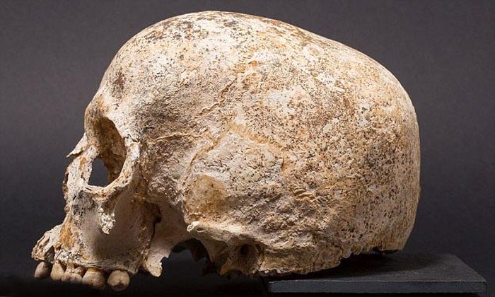 Ученные создали модель головы девушки, умершей 3700 лет назад (3 фото) Ученные создали модель головы девушки, умершей 3700 лет назад (3 фото)