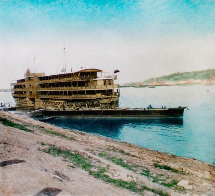  1896  (24 )