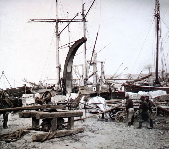  1896  (24 )