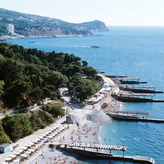     Instagram   (26 )