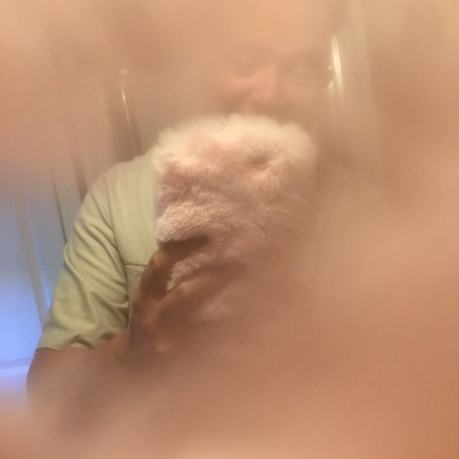          (4 )