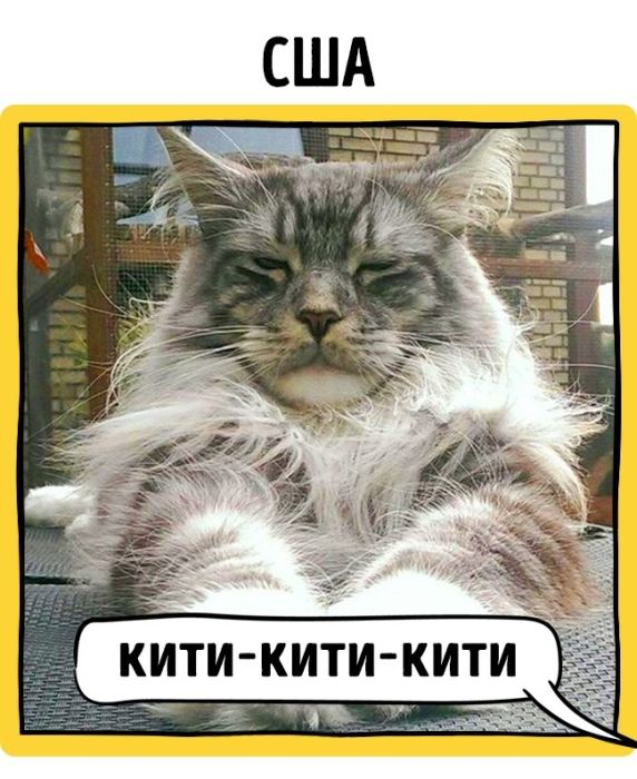 Как подзывают кошек жители разных стран (17 фото) Как подзывают кошек жители разных стран (17 фото)